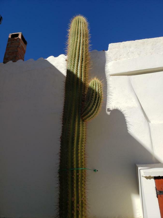 Casa Cactus Cafayate 호텔 외부 사진